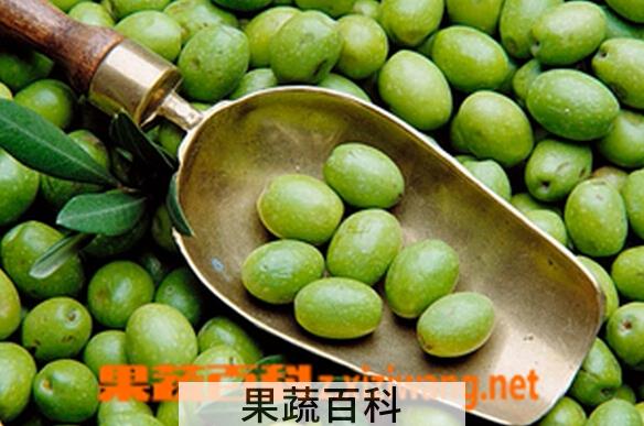 果蔬百科橄榄的功效与作用