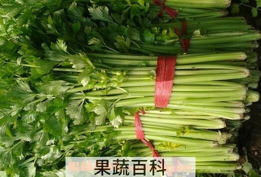 孕妇能吃芹菜吗