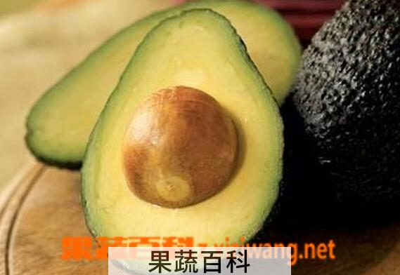 果蔬百科鳄梨