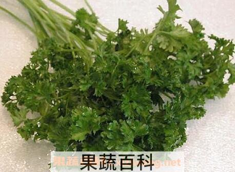 细叶芹的功效与作用