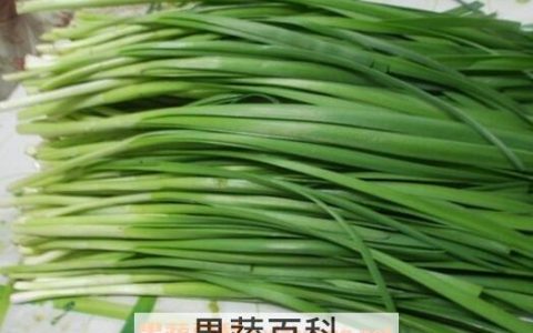 孕妇能吃吃韭菜吗? 孕妇能吃韭菜吗对胎儿有影响吗