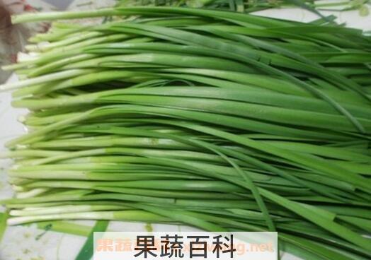 孕妇能吃韭菜吗