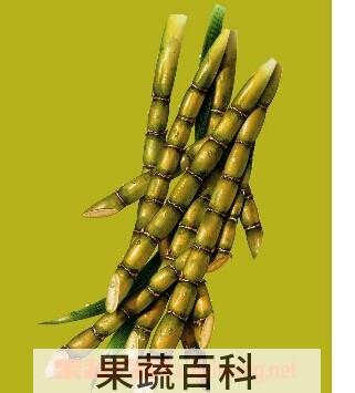 果蔬百科甘蔗汁