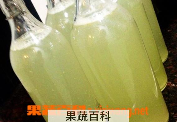 果蔬百科苹果酵素