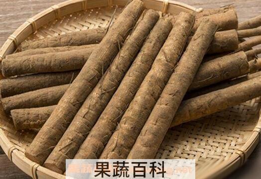 牛蒡的药用价值与功效
