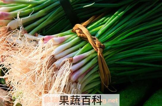 青葱的功效与作用