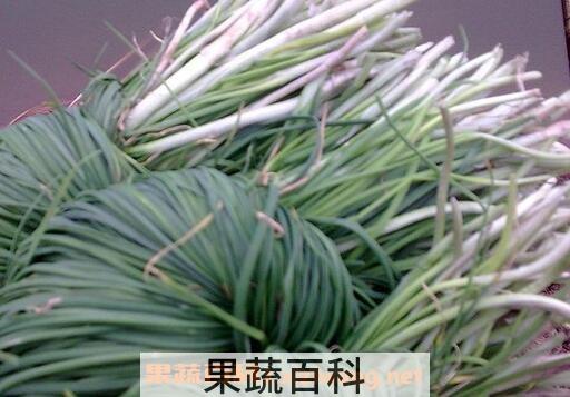 野葱的功效与作用