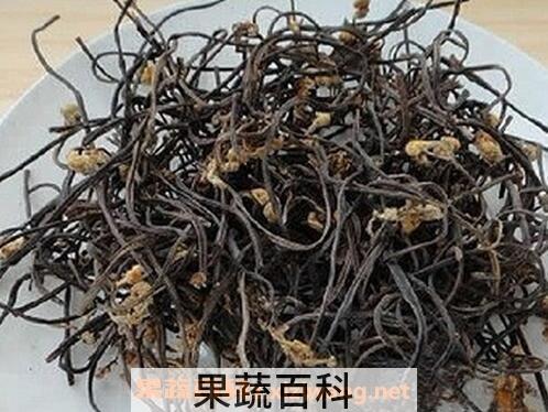 干蕨菜怎么泡发 