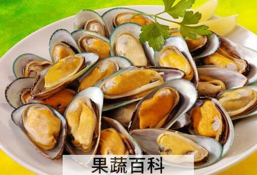果蔬百科贻贝的副作用