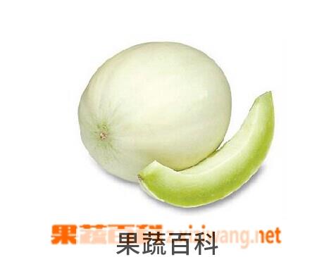 果蔬百科白兰瓜