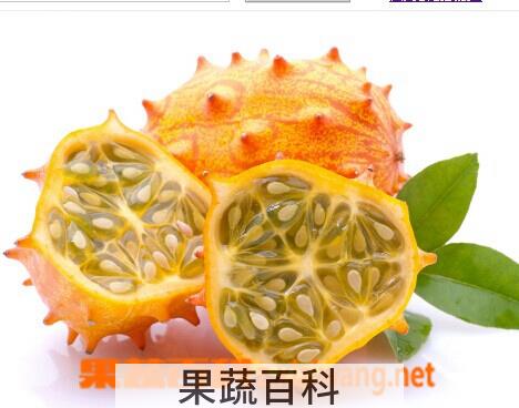 果蔬百科刺角瓜