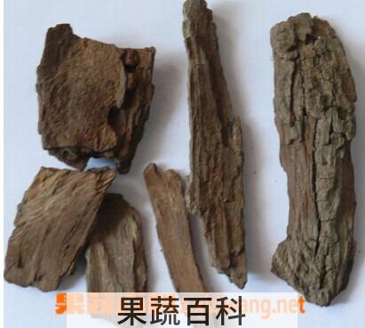 果蔬百科枣树
