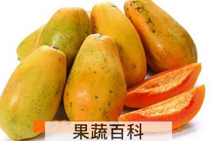 果蔬百科番木瓜