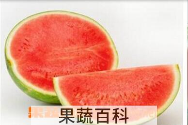 果蔬百科无籽西瓜