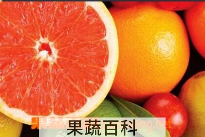 果蔬百科葡萄柚