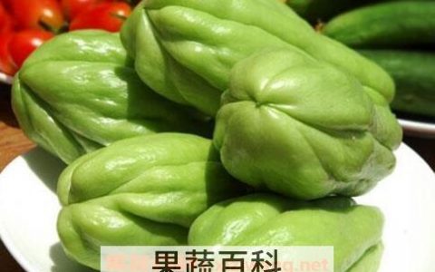 洋丝瓜的营养价值及功效 洋丝瓜的功效与作用副作用
