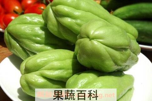  洋丝瓜的功效与作用