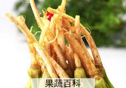 果蔬百科香菜根的功效与作用