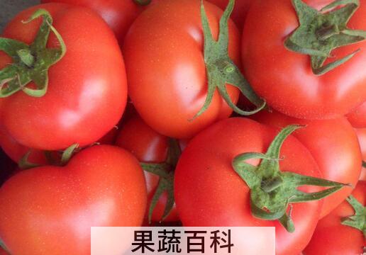 果蔬百科西红柿怎么吃减肥 