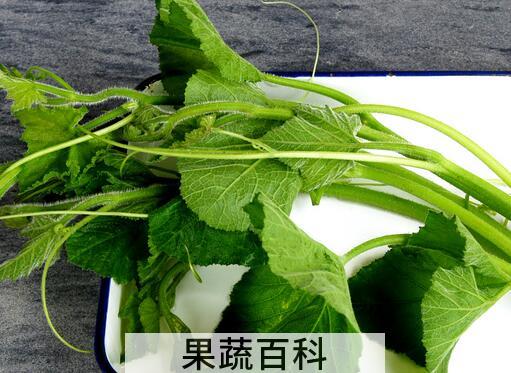 果蔬百科南瓜藤能治胆结石吗 