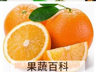 果蔬百科脐橙