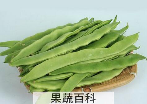 果蔬百科芸豆的营养价值与功效