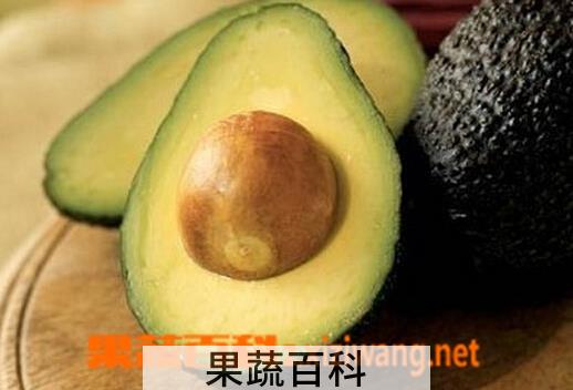 果蔬百科牛油果