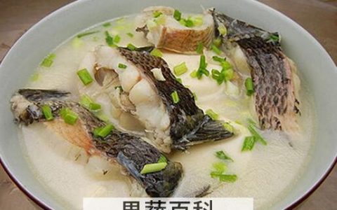 生鱼有什么营养价值 生鱼的营养功效和禁忌