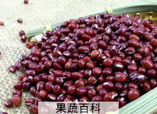 果蔬百科赤豆是什么