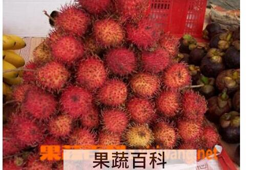 果蔬百科红毛丹