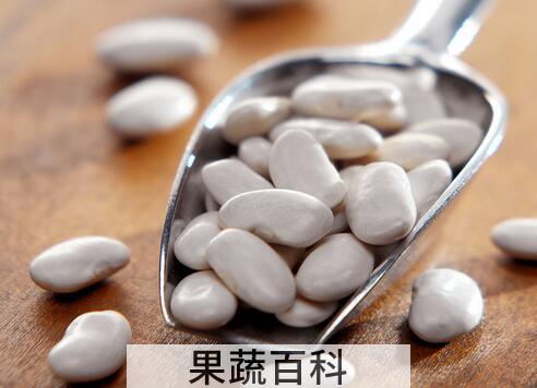 果蔬百科白豆的功效与作用