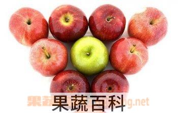 果蔬百科水果 