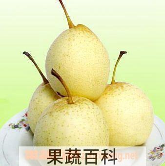 果蔬百科