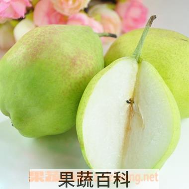 果蔬百科