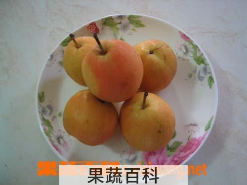 果蔬百科