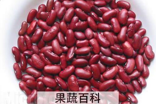 果蔬百科怎么挑选芸豆 