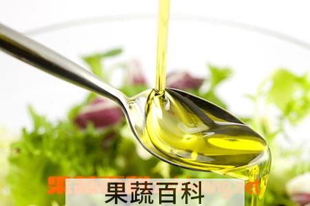 果蔬百科橄榄油