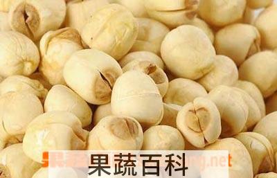 果蔬百科莲子