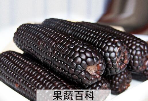 果蔬百科紫玉米的营养价值 