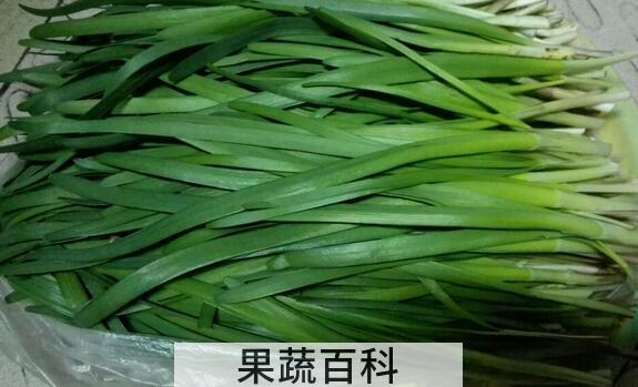 果蔬百科吃韭菜的好处和坏处