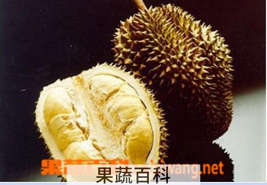 果蔬百科不能跟榴莲一起吃的东西有哪些