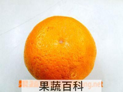 果蔬百科小桔子