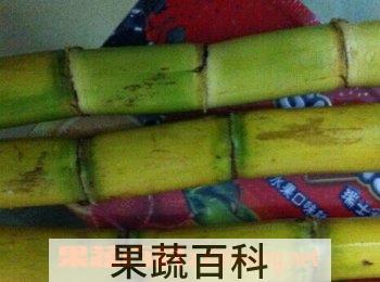 果蔬百科竹蔗