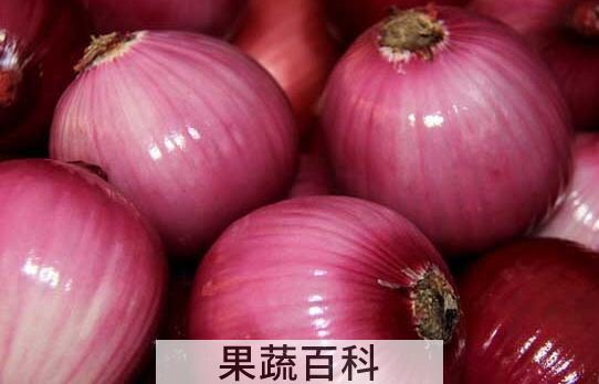 果蔬百科葱头的功效与作用