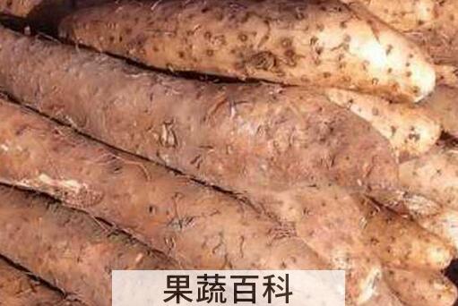 果蔬百科山药发芽以后还能吃吗