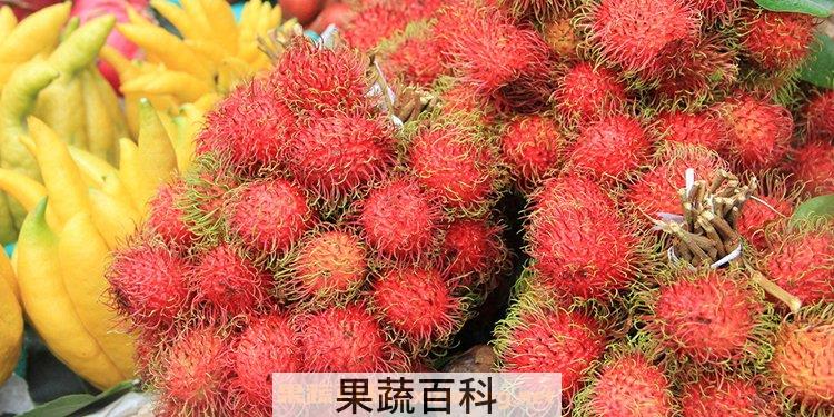 红毛丹