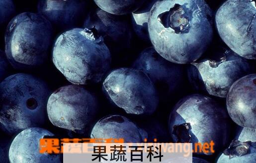 果蔬百科吃什么对眼睛好