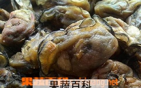 蚝干的功效和禁忌 蚝干有什么功效