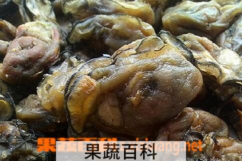 果蔬百科蚝干的功效与作用