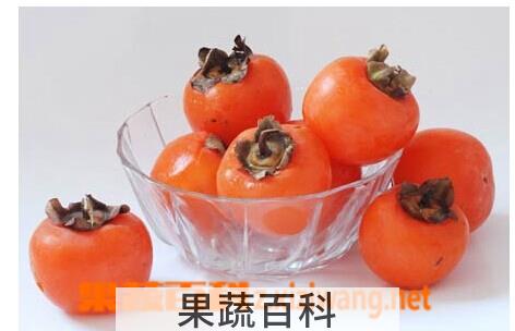 果蔬百科柿子